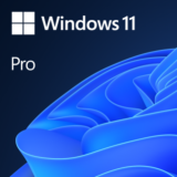Microsoft ESD Win Pro N 11 64-bit (FWC-03370)