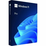 Programmatūra Microsoft Windows 11 Pro 64-bit English Intl USB (HAV-00163)