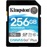 Memory card 256Gb Kingston SD 256Gb (SDG3/256GB)