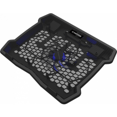 Dzesējošie paliktņi