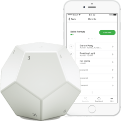 Viedās mājas vadība