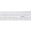 Tastatūra A4Tech FBX50C White