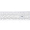 Clavier A4Tech Fstyler FX50 White
