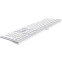 Clavier A4Tech Fstyler FX50 White - photo 5