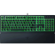 Tastatūra Razer Ornata V3 X - RZ03-04470800-R3R1