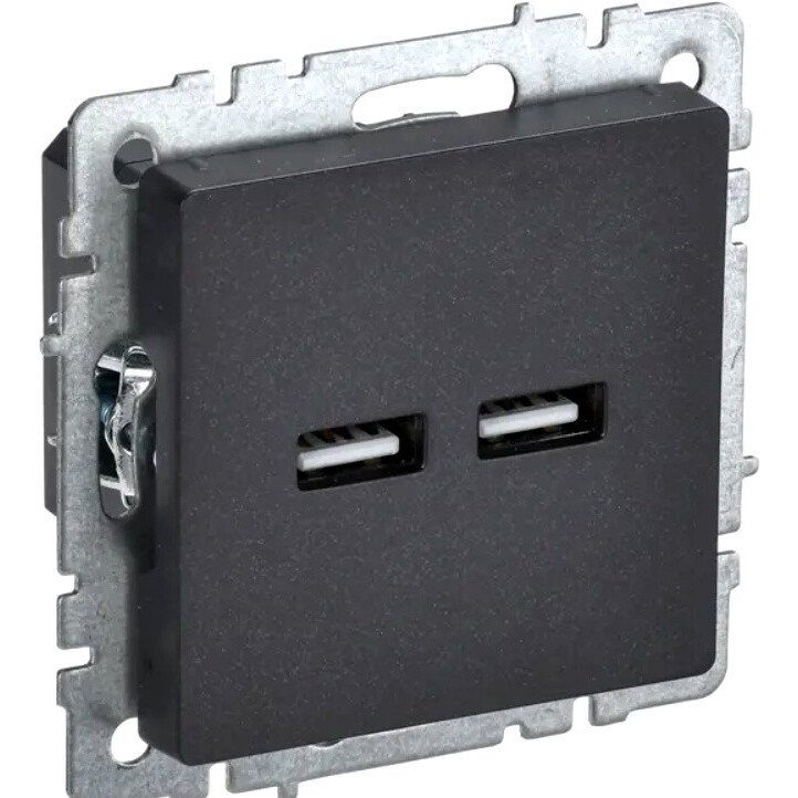 USB rozete IEK BRITE BR-U21-D31-K02