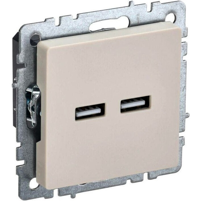 USB rozete IEK BRITE BR-U21-D31-K10