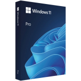 Programmatūra Microsoft Windows 11 Pro 64-bit English Intl USB (HAV-00162)