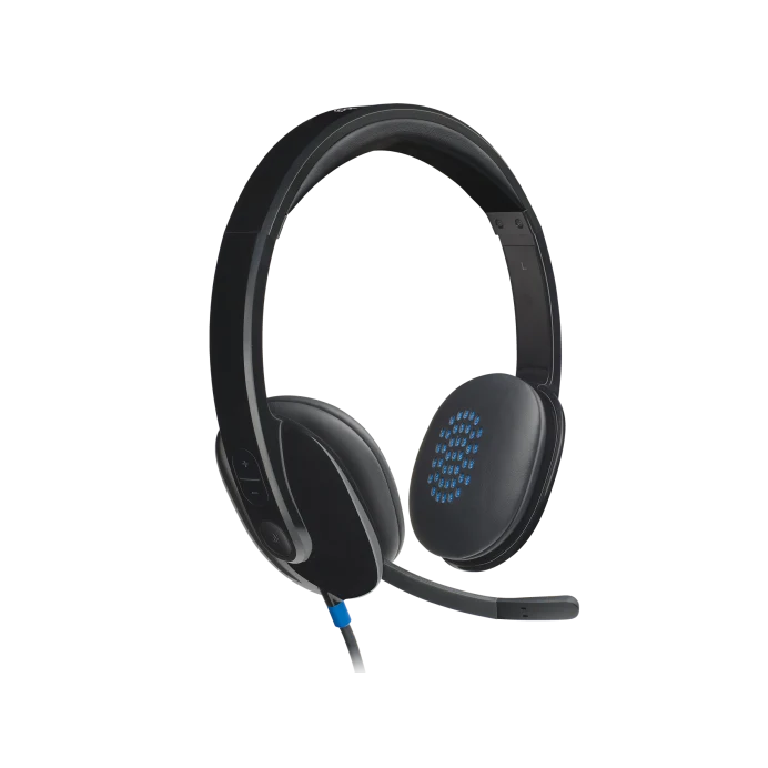 Austiņas LOGI H540  Micro USB Black (981-000480)
