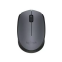 Pele LOGI M170 Wireless Grey (910-004642)