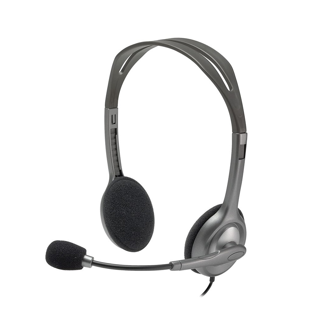 Austiņas Logitech H110 Silver (981-0005939)