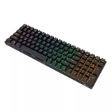 Clavier Royal Kludge RK100 RGB (RK100 brown switch)