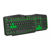 Tastatūra Esperanza EGK201G Black, Green (PERESPKLA0054)