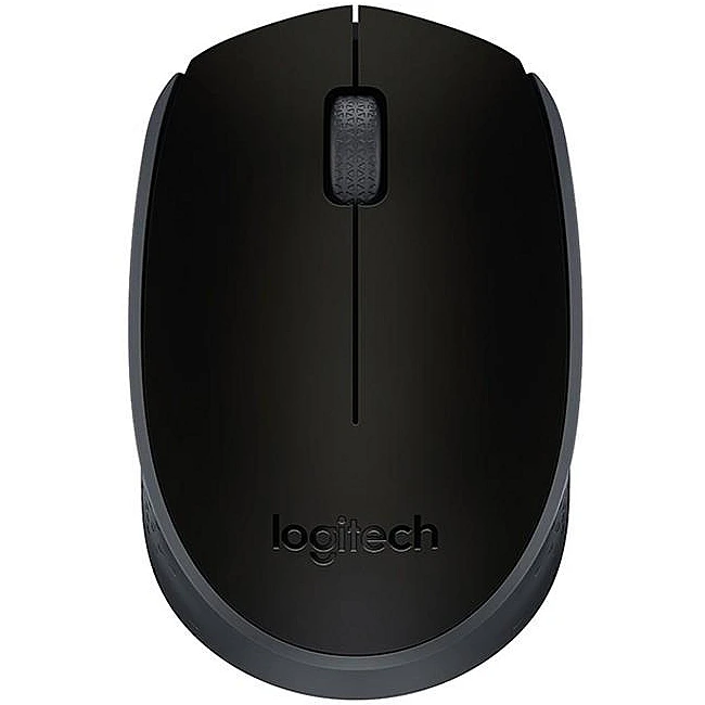 Souris Logitech M171 (910-004424)