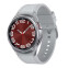 Viedpulkstenis Samsung Galaxy Watch 6 47mm (SM-R965FZSA)