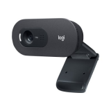 Web kamera Logitech C505e Black (960-0013724)