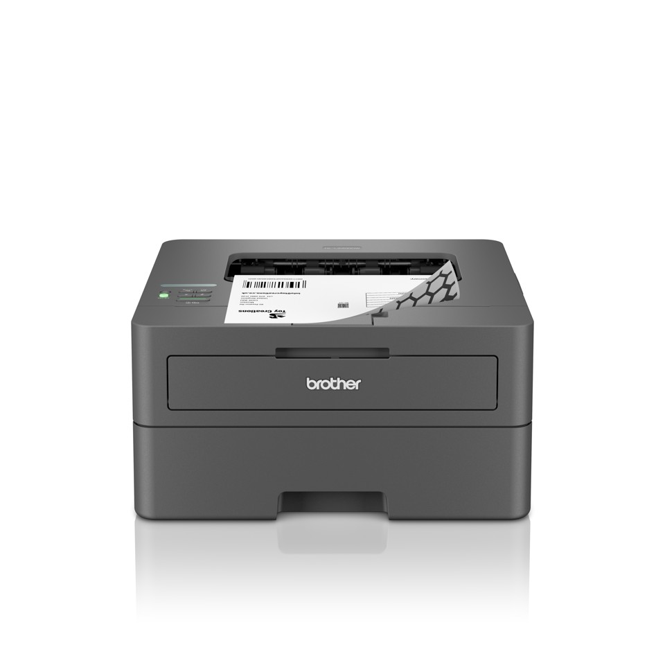 Printeris Brother HL-L2400DW (HLL2400DWRE1)