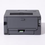 Printeris Brother HL-L2400DW (HLL2400DWRE1)