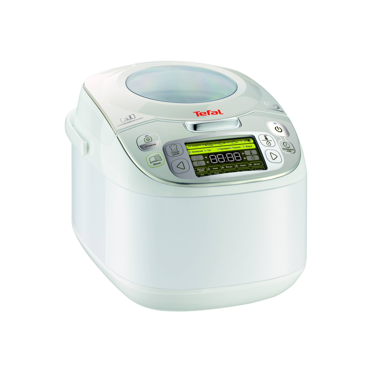 Multivārāmais katls Tefal RK812110 Silver