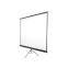 Tripods Elite Screens T85NWS1 85 "