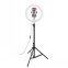 Statīvs Celly RING PROFESSIONAL WITH LIGHT (CLICKRINGUSBBK)