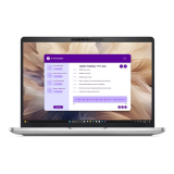 Portatīvais dators Dell Pro 13 Plus 13.3" Silver (210-BPKP_1020494328_5G)