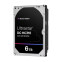 Cietais disks Western Digital DC HC310 6TB (0B36047)