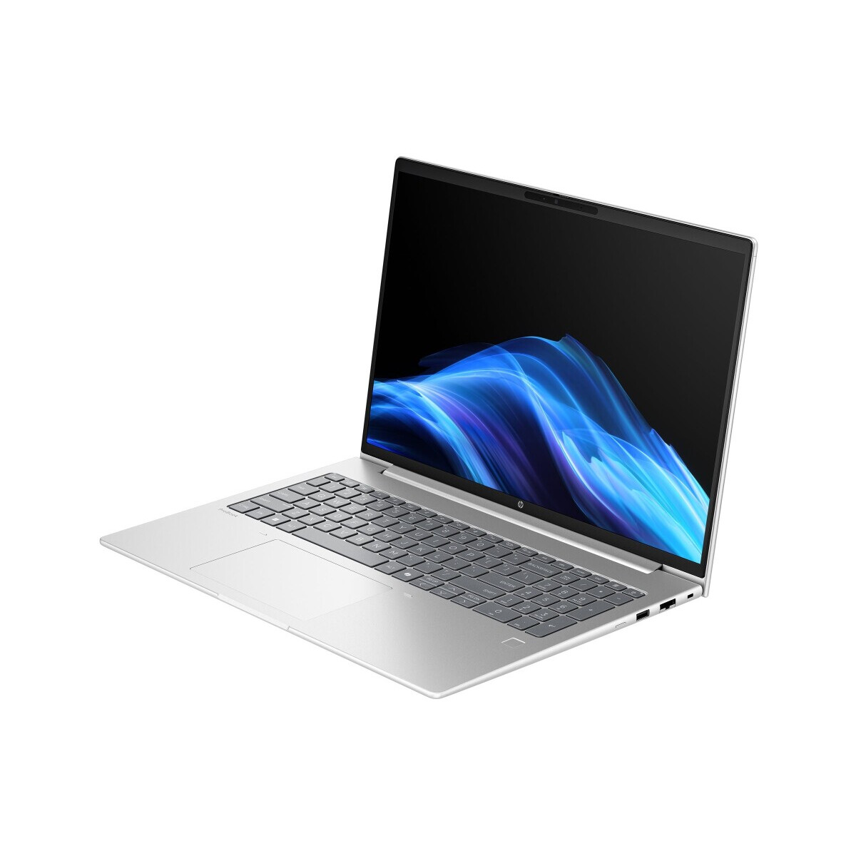 Portatīvais dators HP ProBook 4G1AH AMD Ryzen 5 Ryzen 5 220 Silver (B9YK1ETABB) - foto 2