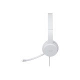 Austiņas Lenovo 110 Stereo USB Type-A Grey (GXD1E71385)