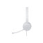 Austiņas Lenovo 110 Stereo USB Type-A Grey (GXD1E71385)