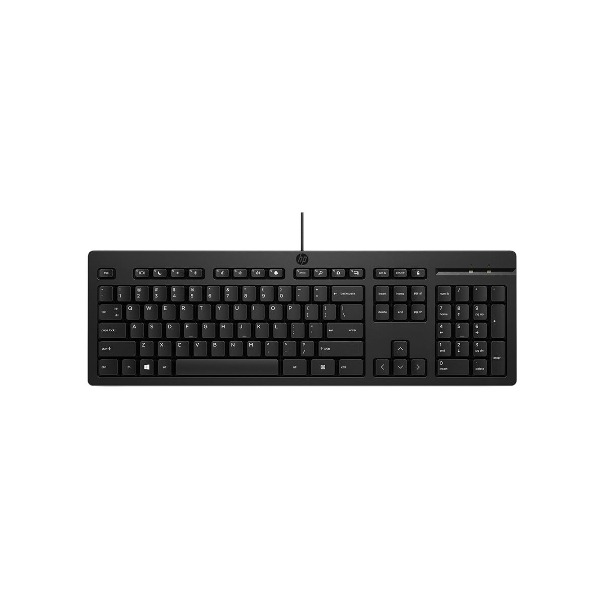 Tastatūra HP 125 G2 USB WD KBD (AY2Y7AAABB) - foto 2