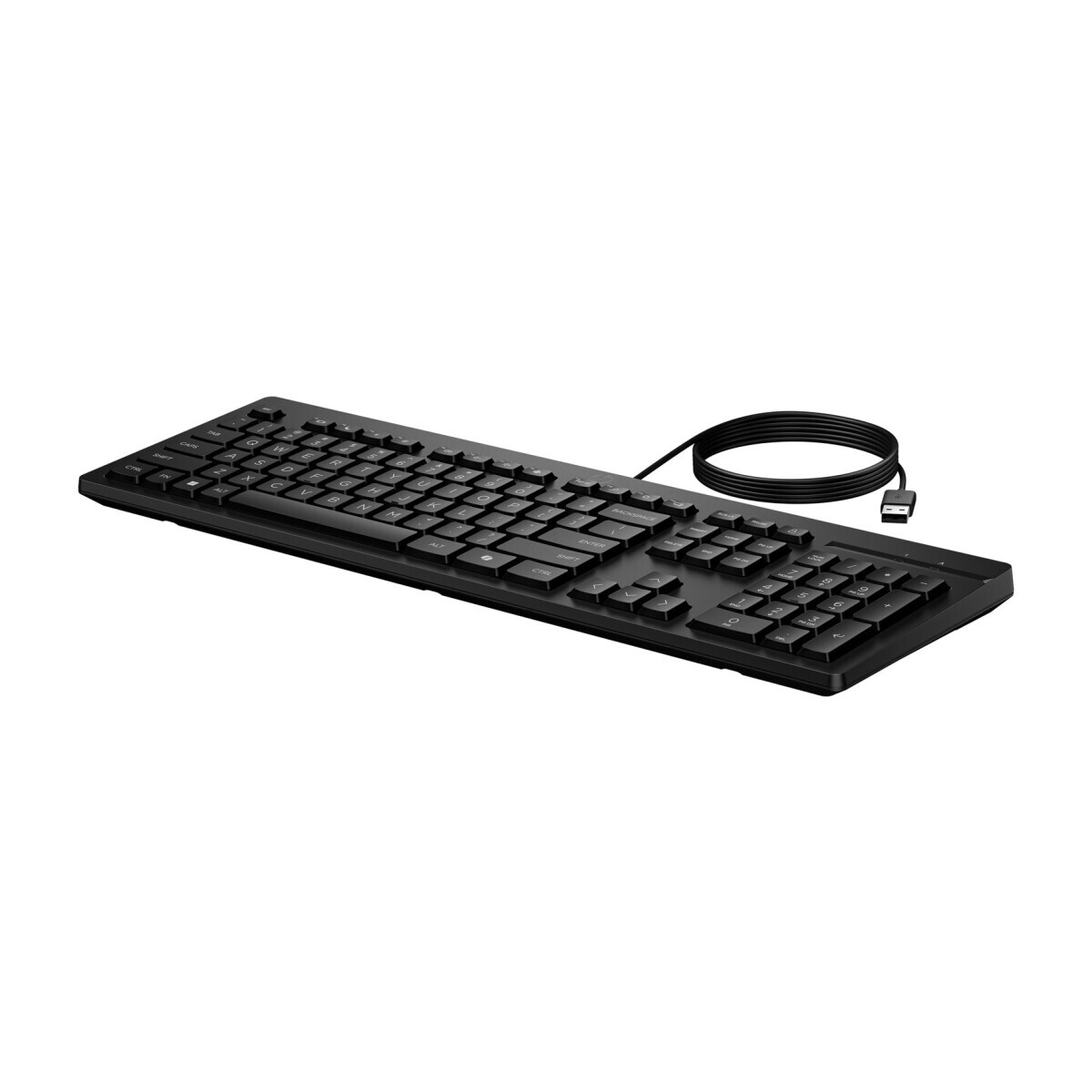 Tastatūra HP 125 G2 USB WD KBD BLACK ENG (AY2Y7A6) - foto 2