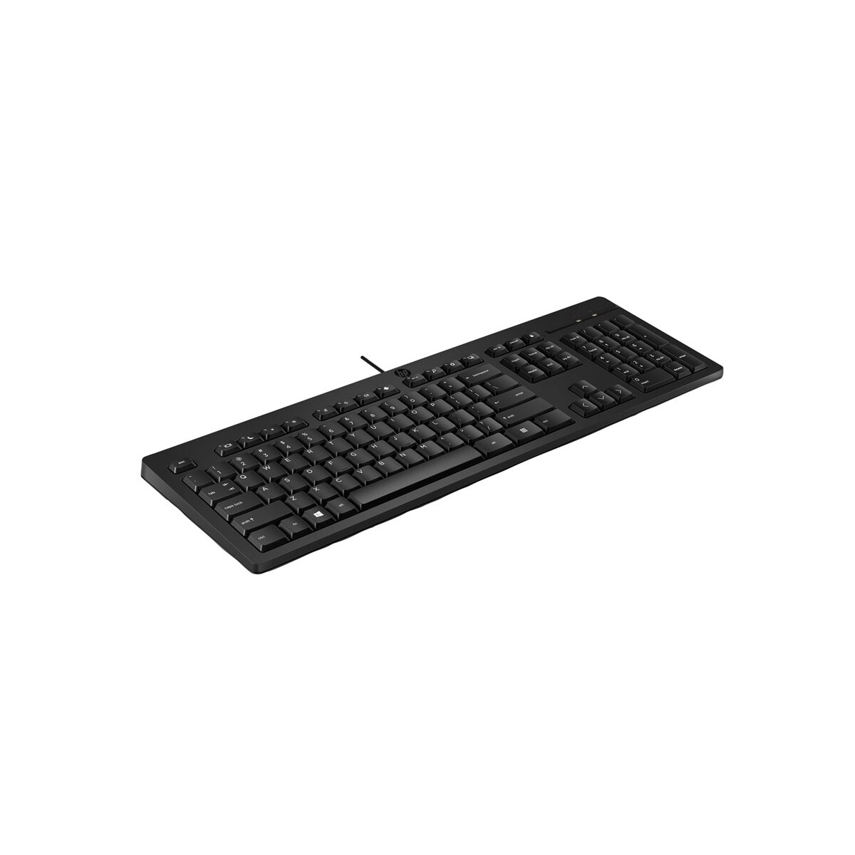 Tastatūra HP 125 G2 USB Wired Keyboard Black RUS (AY2Y7AA) - foto 2