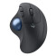 Logitech ERGO M575S Black (910-007029)