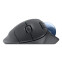 Logitech ERGO M575S Black (910-007029) - foto 2