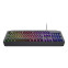 Tastatūra TRUST USB GXT 836 EVOCX (24722) - foto 2