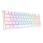 Tastatūra ROYAL KLUDGE G68 US White (RKG68-W-RS-US) - foto 4