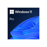 Programmatūra Microsoft Windows 11 Pro (PC)  Key (w11prokey)