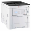 Drucker Kyocera ECOSYS PA3500cx - 1102YJ3NL0 - Foto 2