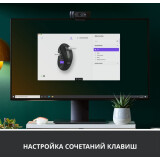 souris Logitech Signature M650 L Graphite (910-006236)