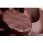 Case Fan Noctua NF-A12x25 G2 PWM - photo 5