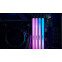 Arbeitsspeicher 32GB DDR5 6400MHz Kingston Fury Renegade RGB (KF564C32RSAK2-32) (2x16GB KIT) - Foto 5