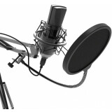 Mikrofons Ritmix RDM-180 Black