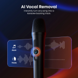 Tragbare Lautsprecher Anker Soundcore Rave 3S Black (A31A3012)