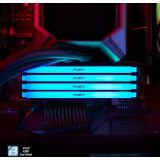 Arbeitsspeicher 64GB DDR4 3200MHz Kingston Fury Beast RGB (KF432C16BB2AK2/64) (2x32GB KIT)