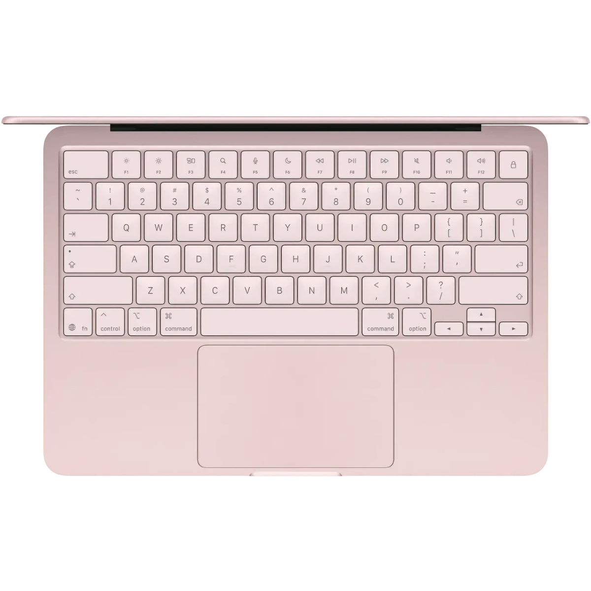 Ordinateur portable Apple MacBook Neo 13 Blush (A18 Pro) (MHFH4D/A) - photo 2