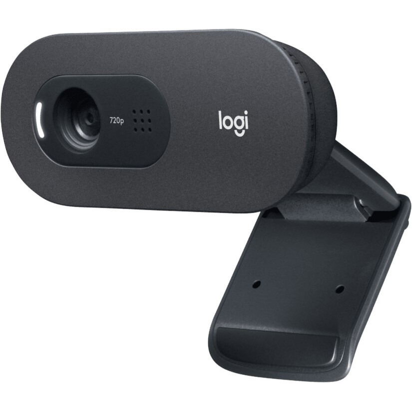Web kamera Logitech WebCam C505 HD (960-001364)