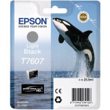 Boîte Epson C13T76074010 Gray
