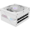 Power Supply Unit 850W Gigabyte GP-AE850PM PG5 ICE - photo 3
