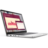 Ordinateur portable Dell Pro 14 Platinum Silver (PC14250) (4VJT6)